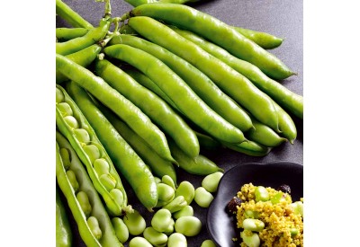 Masterpiece Long Pod Broad Bean (1/2 pint)